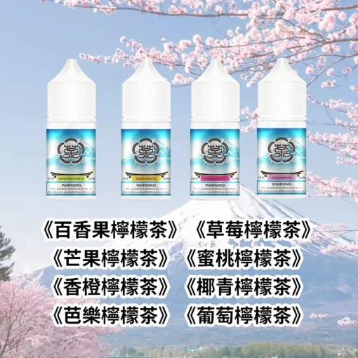 富士山電子煙油 30ML / 35MG | 8款果香冰涼丁鹽煙油 - 專為小煙設計