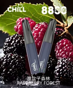 CHILL 8800口 | 一次性拋棄式電子煙